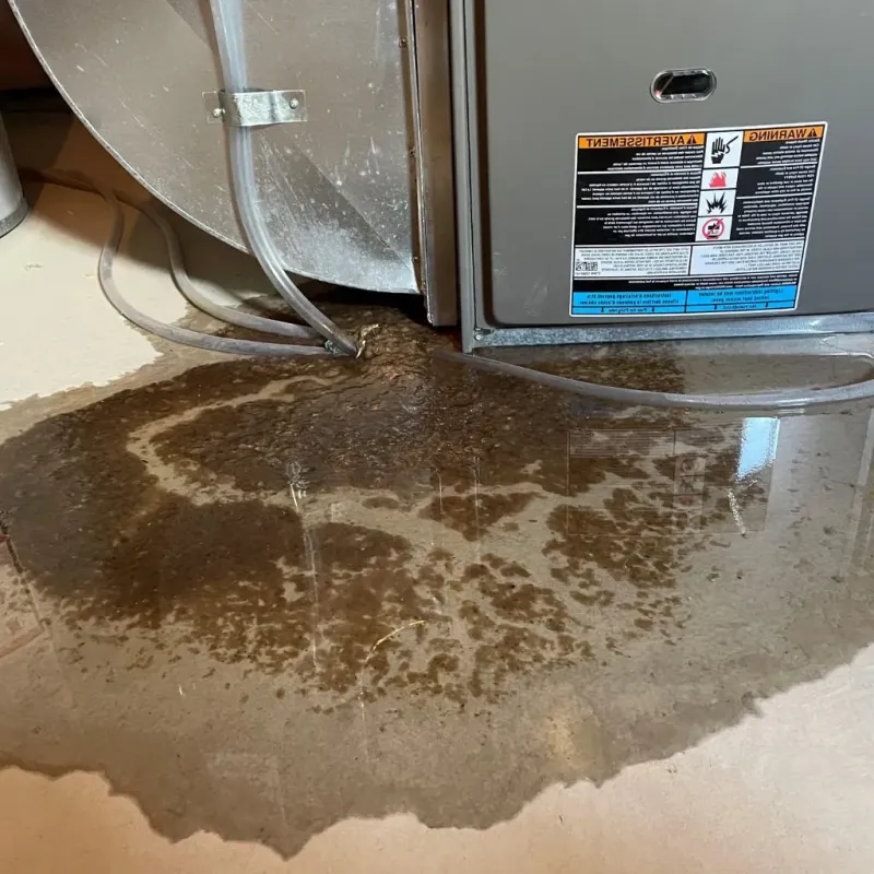 Pipe Burst and Leak Restoration in Riverton, UT